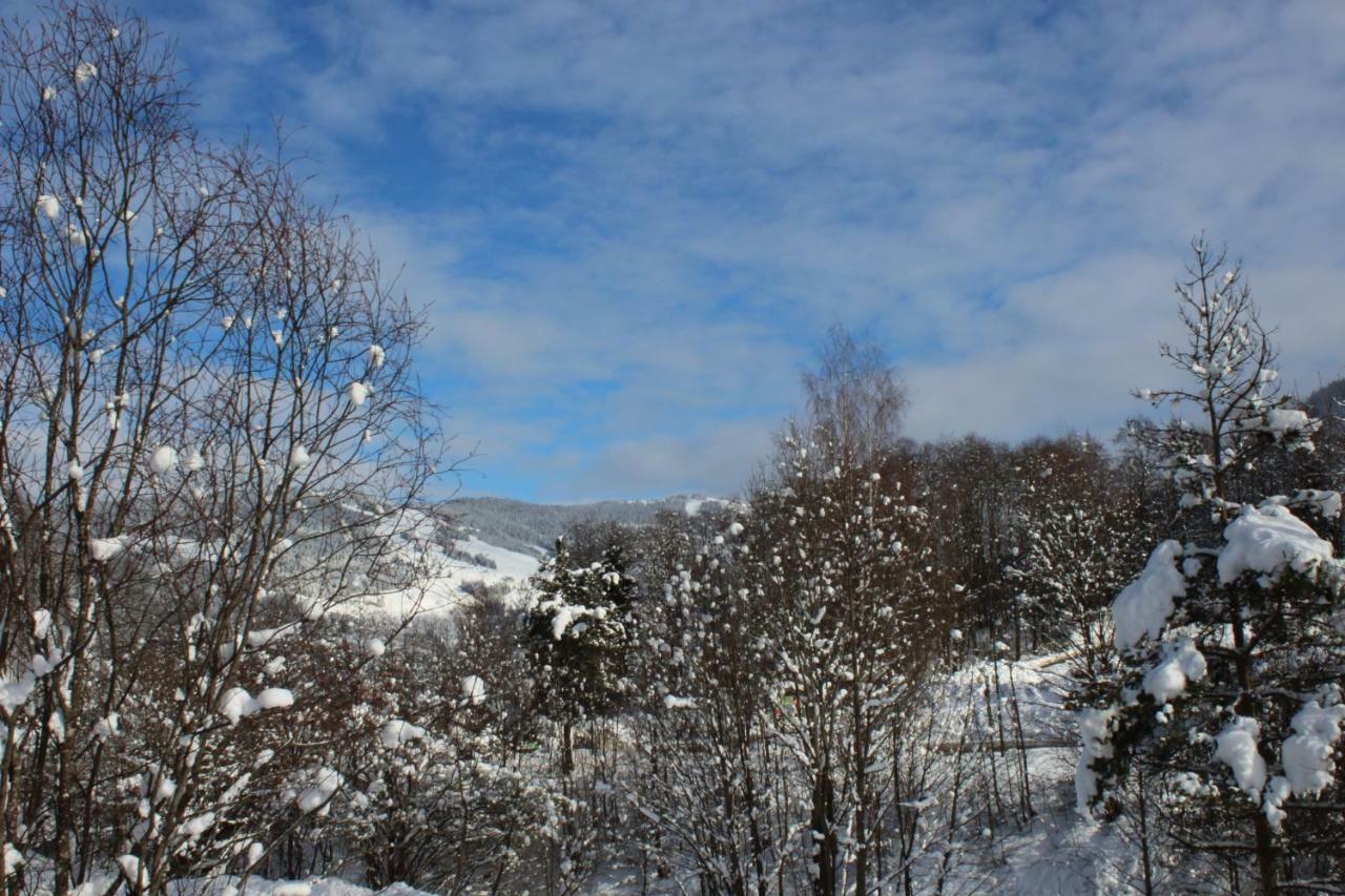 Appartement Schoenfeld Saalbach-Hinterglemm Buitenkant foto